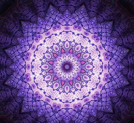 成长小组|一花一世界,曼陀罗之你不知道的功效