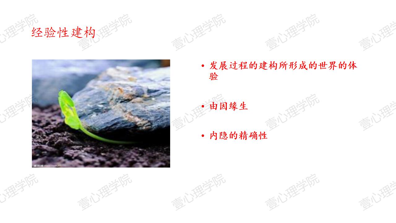 3 建构的发展图式与病理（上）.jpg