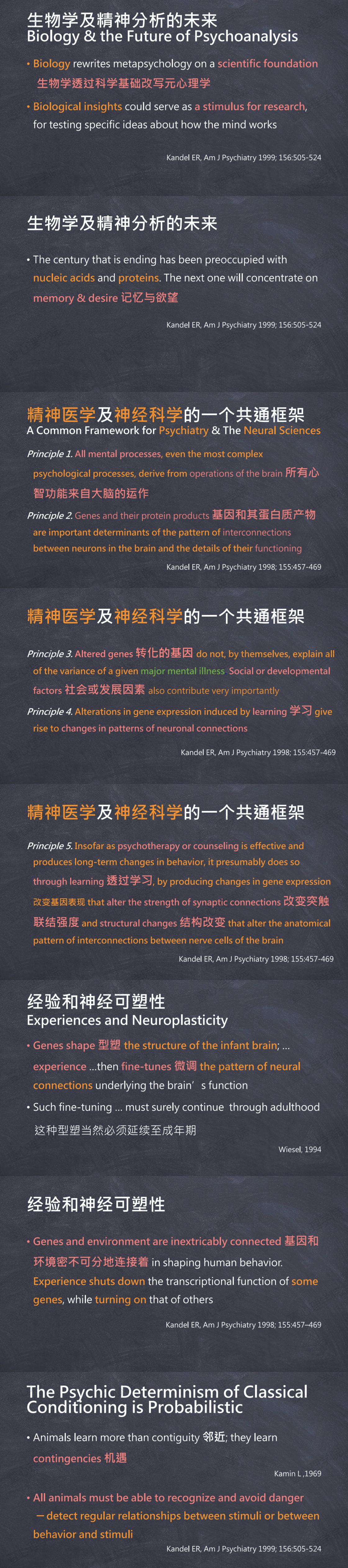 1 正向心理学及心理治疗的神经科学基础7.jpg