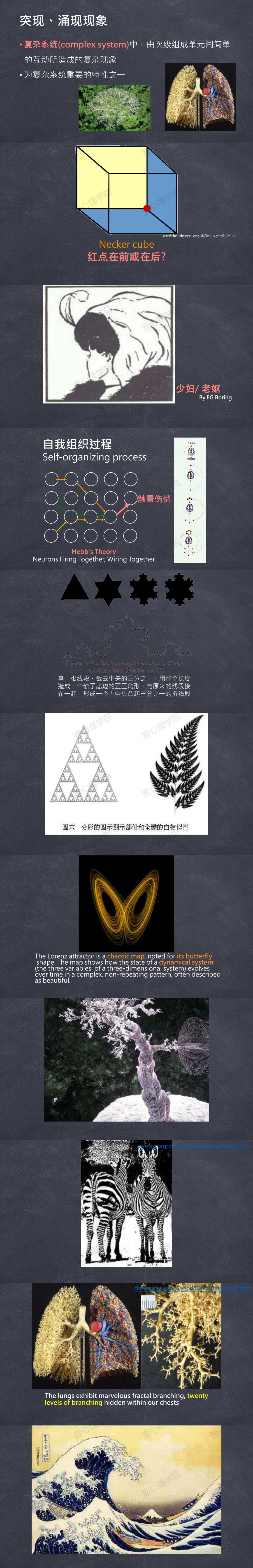1 正向心理学及心理治疗的神经科学基础4.jpg