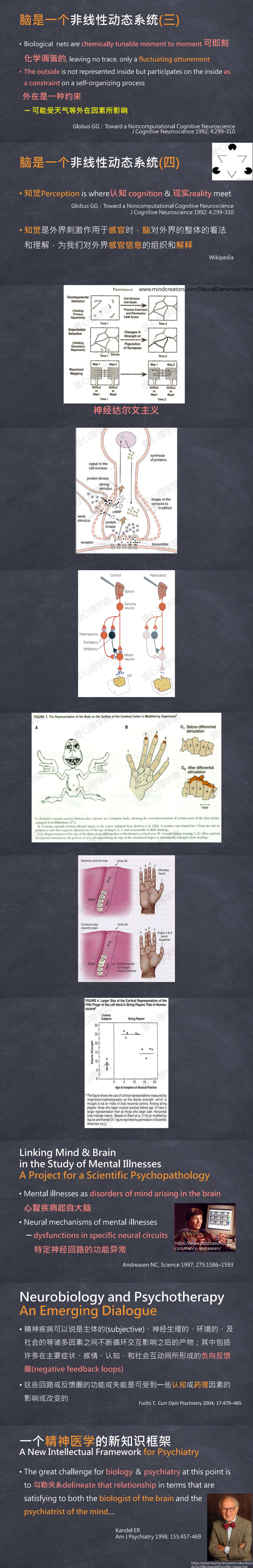 1 正向心理学及心理治疗的神经科学基础6.jpg