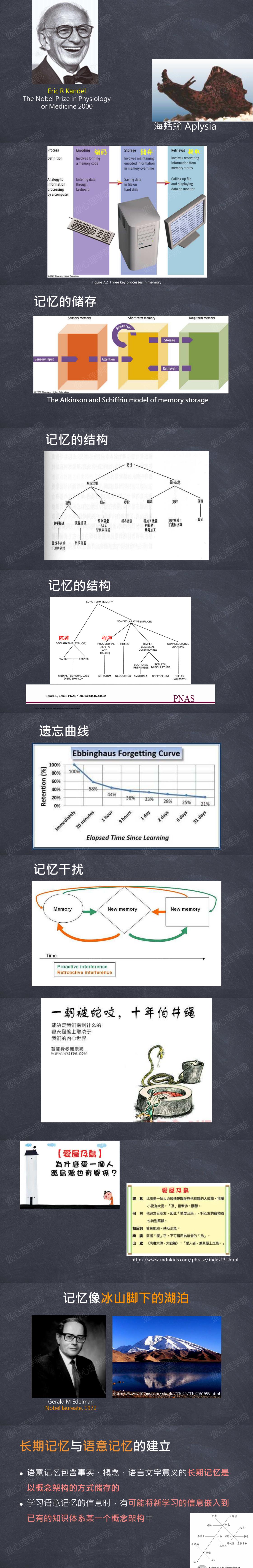 4 心与脑-依恋以及记忆2.jpg
