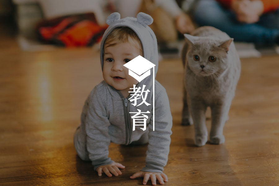 文章封面