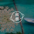 这个容易被忽略的因素,可能是自闭症防治的有效手段图片路径