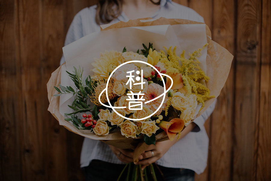 童年有创伤还会爱人吗?| 高分冷门片教你如何去爱 -心理学文章-壹心理 童年有创伤还会爱人吗?| 高分冷门片教你如何去爱 -心理学文章-壹心理