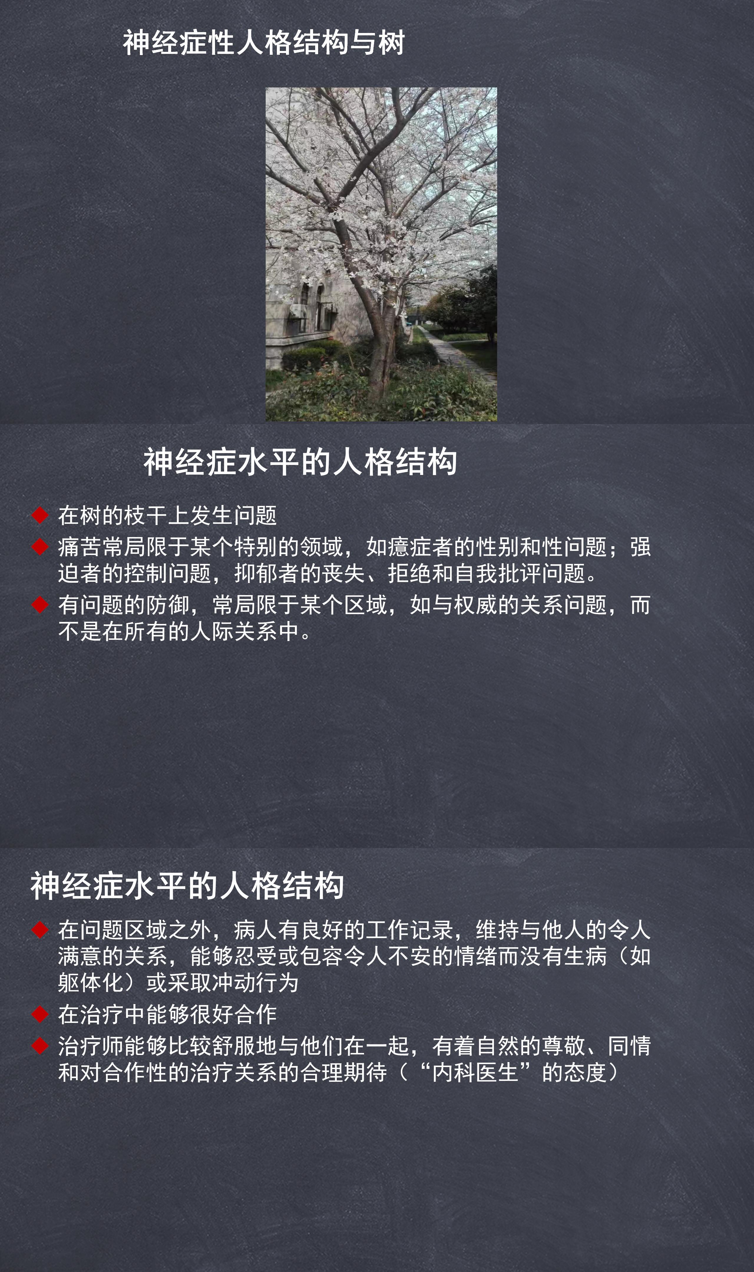 30 神经症性人格结构.jpg