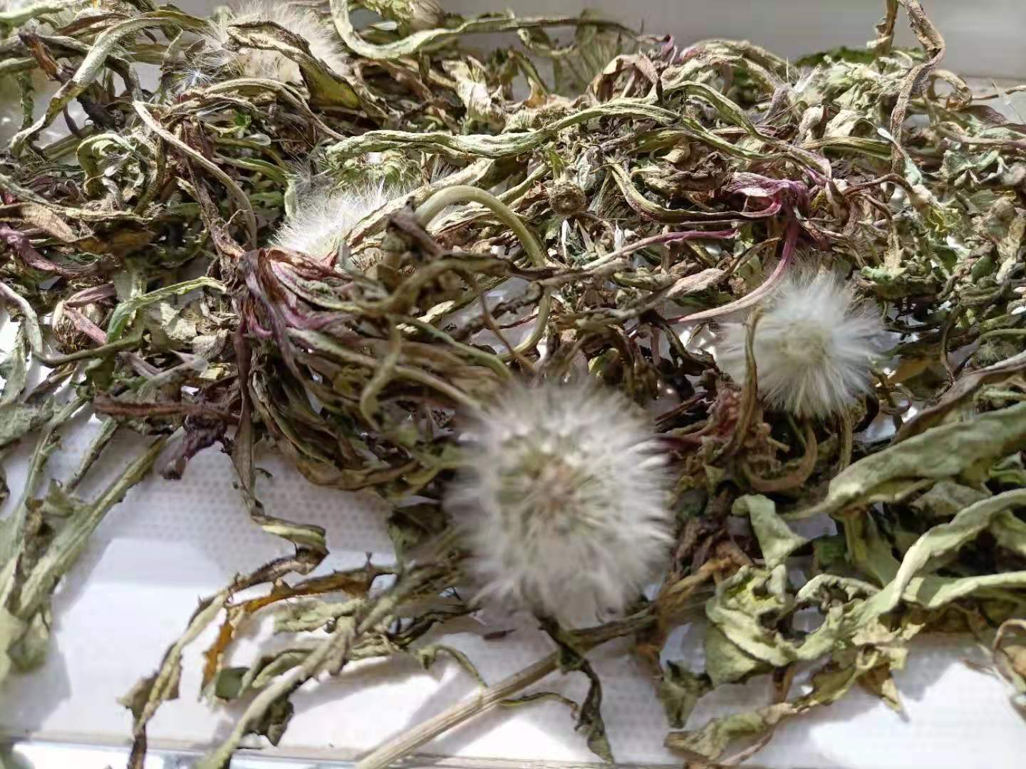 若能坚强如斯,还有什么可以怕的-心理学文章-壹心理 若能坚强如斯,还有什么可以怕的-心理学文章-壹心理