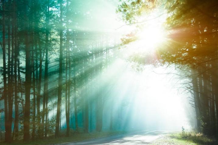 创伤是光照进心里黑暗的那个地方