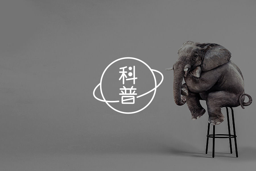 为什么广东人啥都吃,我却看都不敢看?| 新食物恐惧-心理学文章-壹心理 为什么广东人啥都吃,我却看都不敢看?| 新食物恐惧-心理学文章-壹心理