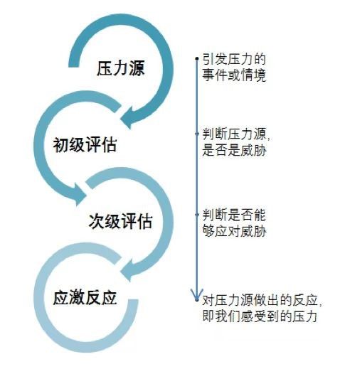 如何提升自己的抗压能力