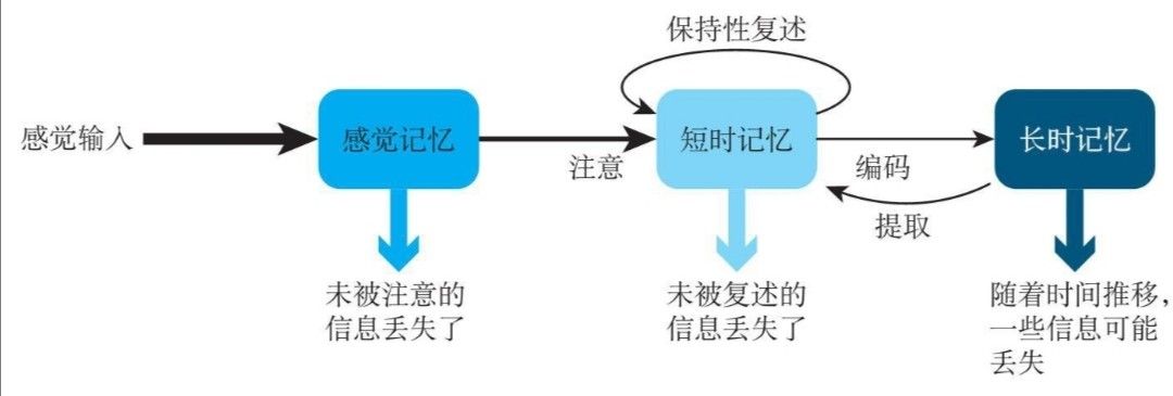 心理课堂 记忆系统的"三重门(下)