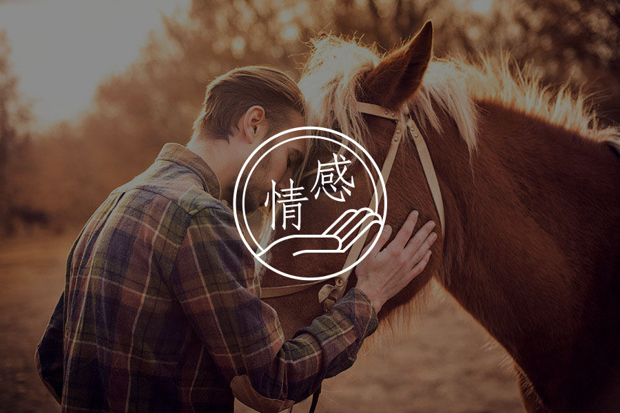 为什么我不建议你再找前任复合-心理学文章-壹心理