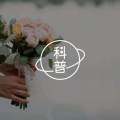 女性生育意愿的心理学分析——心理学关于国计民生系列图片路径