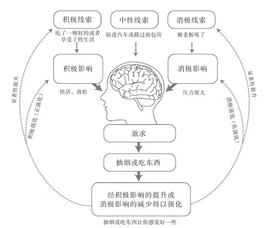 實驗1:將老鼠放進這個斯金納箱,箱子中的老鼠只要按壓一個槓桿就會