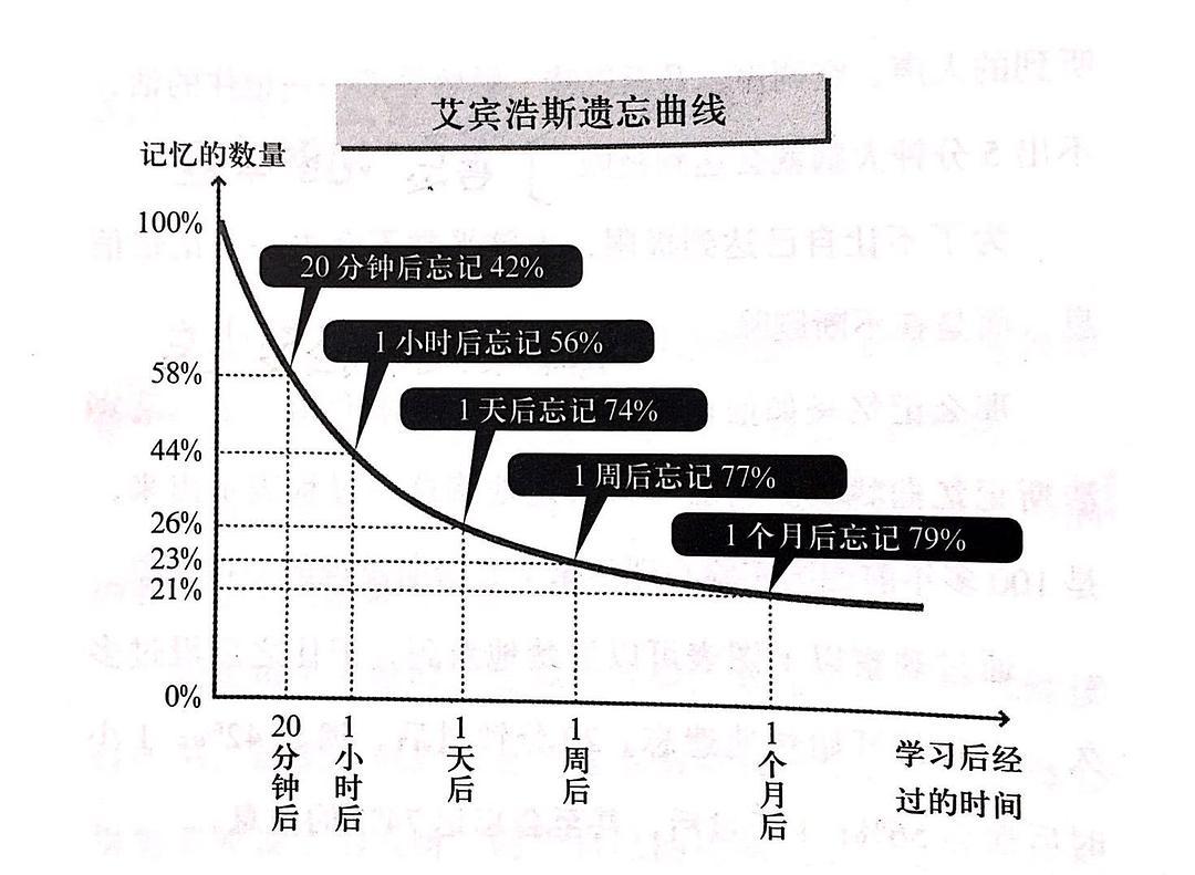 如何理解“遗忘现象”? | 心理词条-心理学文章-壹心理
