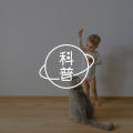 居家办公期间，拿什么拯救你的工作效率？