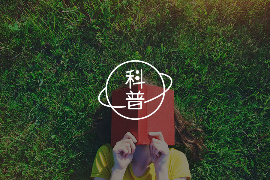 当亲人介入上瘾者的治疗，一切是否会不同？