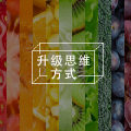 28条时间笔记，小变态，但超好用