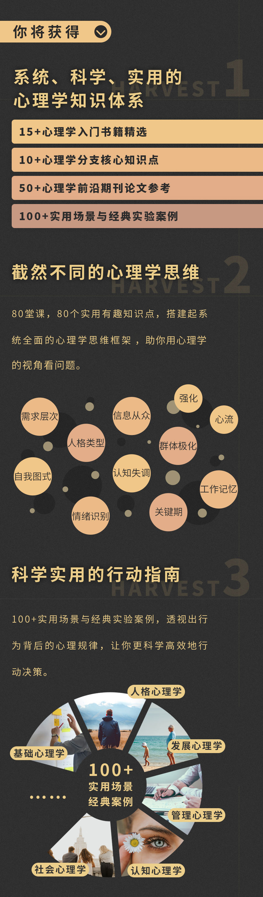 图层 5.png