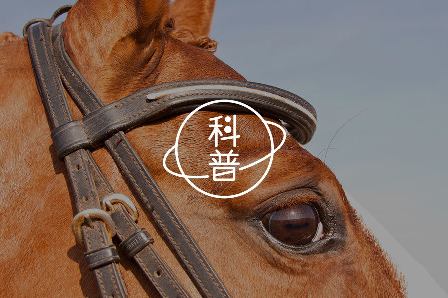 数学天才还俗后从事心理工作，患者能找他做心理咨询吗-心理学文章-壹心理