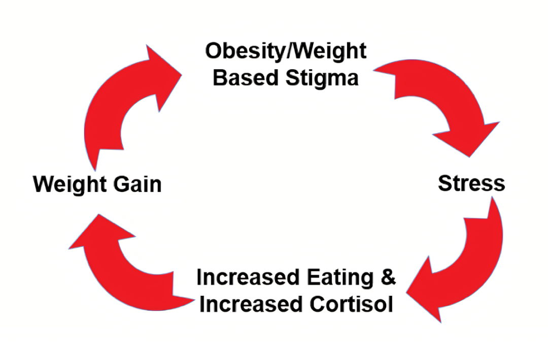 抑郁导致肥胖、肥胖导致抑郁，为什么抑郁了会胖？
