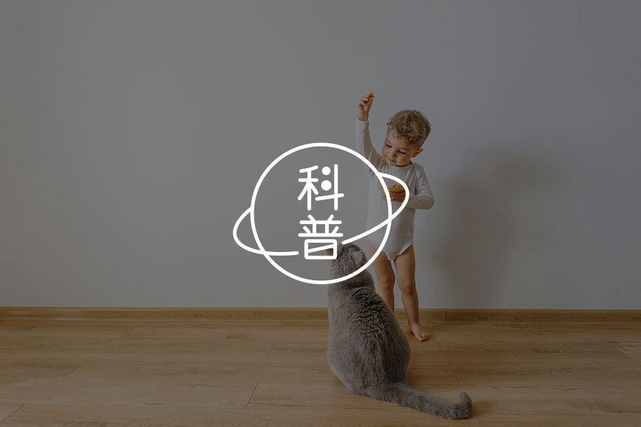 问题出现我再告诉大家丨《如何找到真问题》-心理学文章-壹心理
