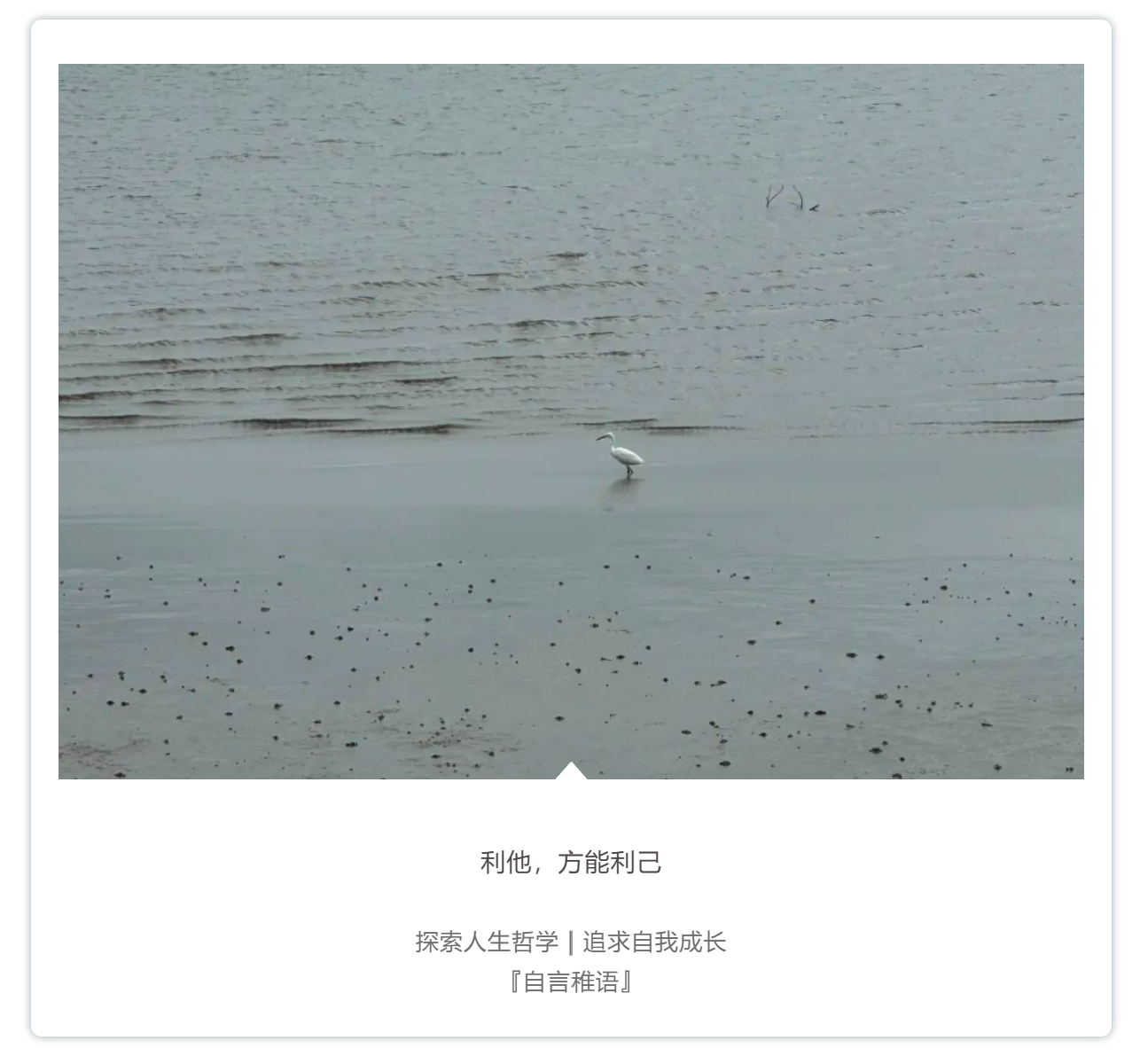 真正的高手，都是利他主义者-心理学文章-壹心理