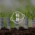 智商越高，收入越高吗？我挖出了IQ测试的黑历史……