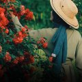 刘亦菲新剧《玫瑰的故事》中爆火的4句话，读得懂的女人会越过越好命