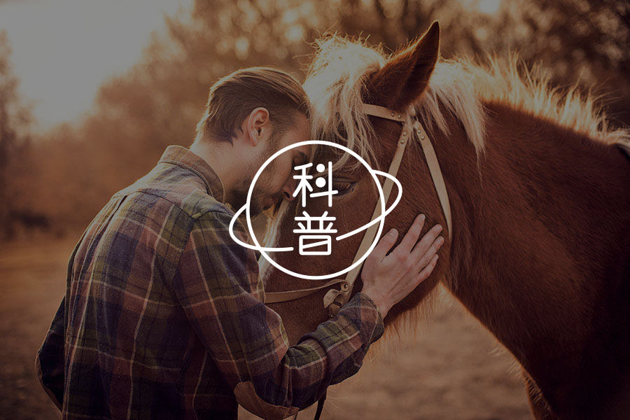 判断伴侣爱不爱你的1点，准到可怕-心理学文章-壹心理