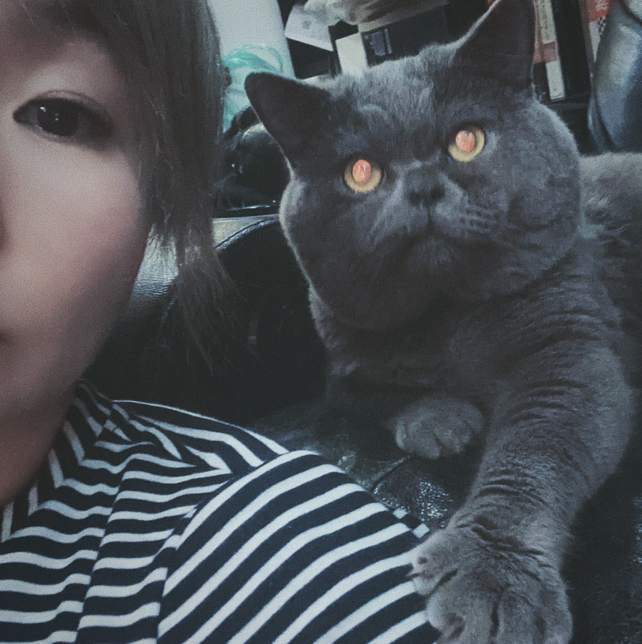咖啡小圆子