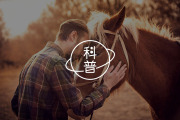 《了不起的盖茨比》：所谓执念的背后究竟是什么？