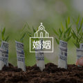 婚姻中为钱吵架的真相：夫妻们到底在吵什么？