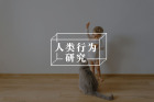 你有多久没像儿童一样尽情玩耍了？——玩游戏不仅不会导致玩物丧志，还能促进心灵的健康发展
