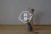 Puppy Blue｜你有“小狗忧郁症”吗？（养宠心理学）
