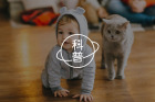 猫抓沙发不是“坏脾气”，可能是“心情好”