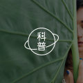 人如何认识自己的命运?|荣格