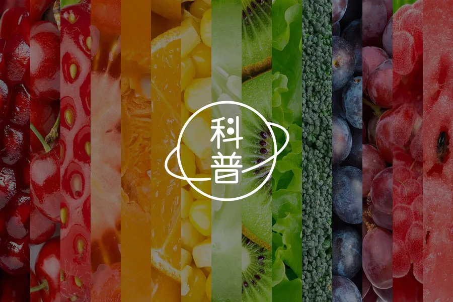 吃什么，决定你是谁：饮食的能量秘密