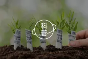 诺奖得主揭秘：4个决策盲区让你总在关键决策上犯傻丨《“错误”的行为》深度解读