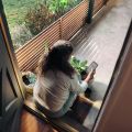 咨询师简历空空如也？从0到50个个案可以这样积累！