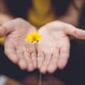 咨询师之家 | 严和来：精神分析视角下，青少年咨询要分清请求与意愿