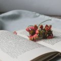 壹心理咨询师之家 | 来访者说了很多件事，咨询师如何判断主诉？