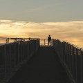 人生中场而已，我靠心理学实现不上班的自由