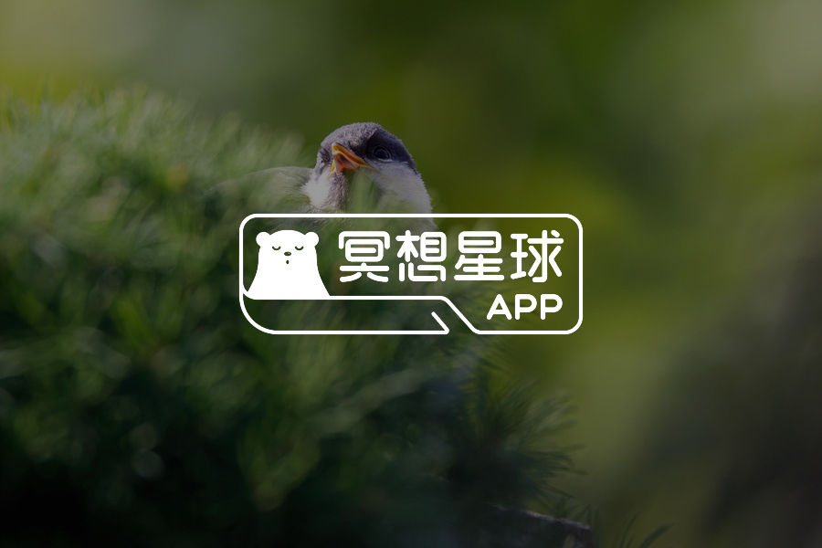 冥想星球产品动态2026-08-10-心理学文章-壹心理