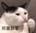 小壹君
