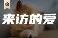 来访爱上咨询师了，怎么办？ | 10位心理咨询师给你支招