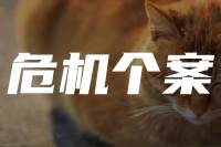 咨询师必读 | 徐凯文：危机个案的风险评估、应对策略