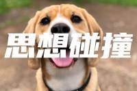 当来访者说“我不想活了”，看咨询师都是如何回应的。