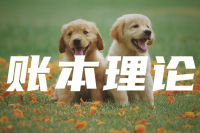 家庭关系三角化：被拉入“战争”的孩子