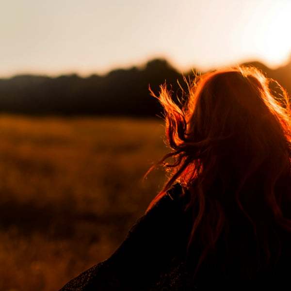 Dec 06.日签-心理学文章-壹心理